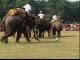 Nepal, entertainment (نيبال)